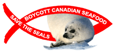 Every year 100s of 1000s of baby seals are brutally clubbed to death for fur with the complete consent of the Canadian government. 