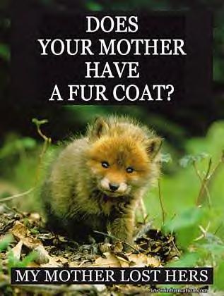 Don't buy cruelty. Don't buy fur imported from China. China uses cats and dogs as it's fur source. 