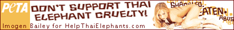 Don't support thai elephant cruelty