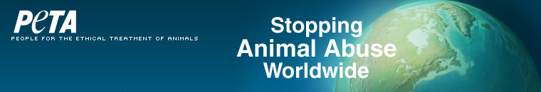 Stopping Animal Abuse Worldwide   -  Peta.org